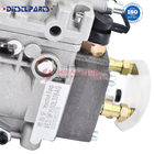 VE3-9F1500L376AG for isuzu injection pump diesel engine VE Pump Rotor Fuel Injection Pump For KIPOR Generator