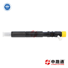 Diesel Fuel Injector‬ EJBR04401D fits for Ssangyong Rexton Kyron 2.7 delphi engine injector A6650170221