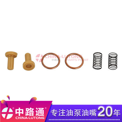 2447010011 Fuel Pump Gasket Kit for Bh Diesel Engines