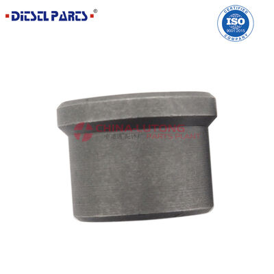 Diesel Injection Delivery Valve 2 418 552 065  for     MAN   81111080023