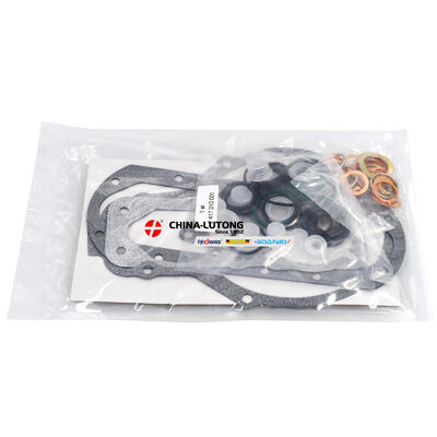 Diesel Fuel Injector Pump Repair Kit 2 417 010 001 for Toyota Fuel Injector Repair Kit